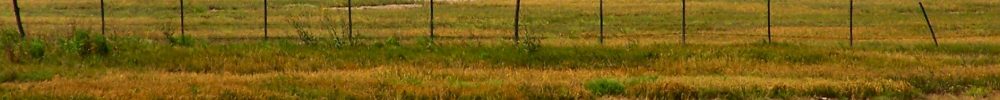 general-viamonte-argentina