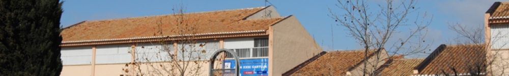 juan-xxiii-cartuja